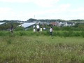 s-P1090647.jpg