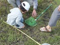 s-P1090653.jpg