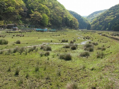 tai_chiku_landscape.jpg