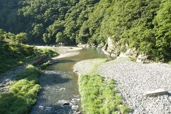 yatagawa_norm.jpg