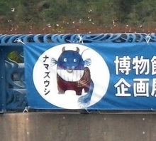 もはや有名人?!ナマズウシ