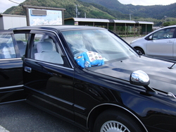 CIMG7562.JPG