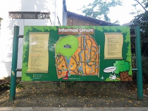 IMGP0011.jpg
