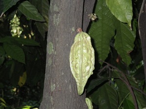 IMGP0030.jpg