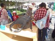PA160015.jpg