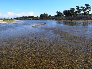 R0011813.jpg
