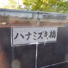 �n�i�~�Y�L��
