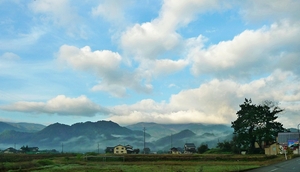 朝霧に覆われた山々