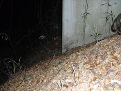PA300023.jpg