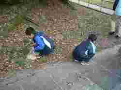�h���O���������ɖ����̃T���l�[���摜