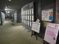 s-P1080355.jpg