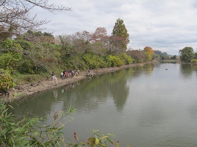 zenkei_sasayama1.jpg