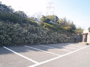 park039.jpg