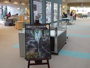 s-P1080372.jpg