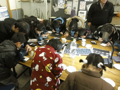 takarasagasi.gif