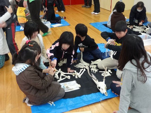 hyogo_3.jpg