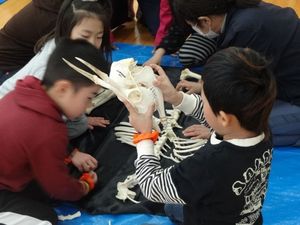 hyogo_4.jpg