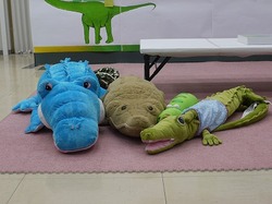 s-P1080467.jpg