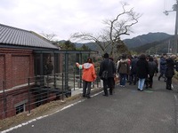s-P1080543.jpg