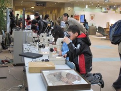 kinkikodomo5_kodai.jpg