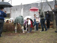 07kiwoueru.jpg