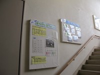 IMG_1960.jpg