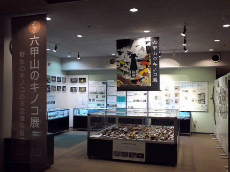 kinoko2012_1.JPG