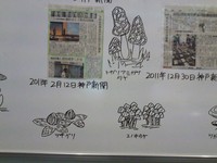 kinoko2012_2.jpg