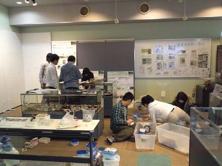 kinoko2012_5.JPG