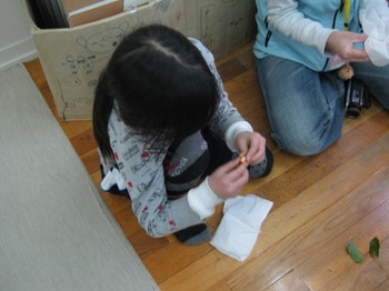 nakamichi (6).jpg
