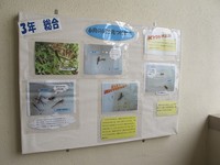 toujyouhigashi20120306_2.jpg