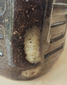 s-2012041510480000.jpg