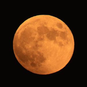 オレンジ色の月が昇りました