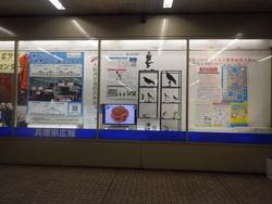 県庁前駅2021春展示 (1).jpg