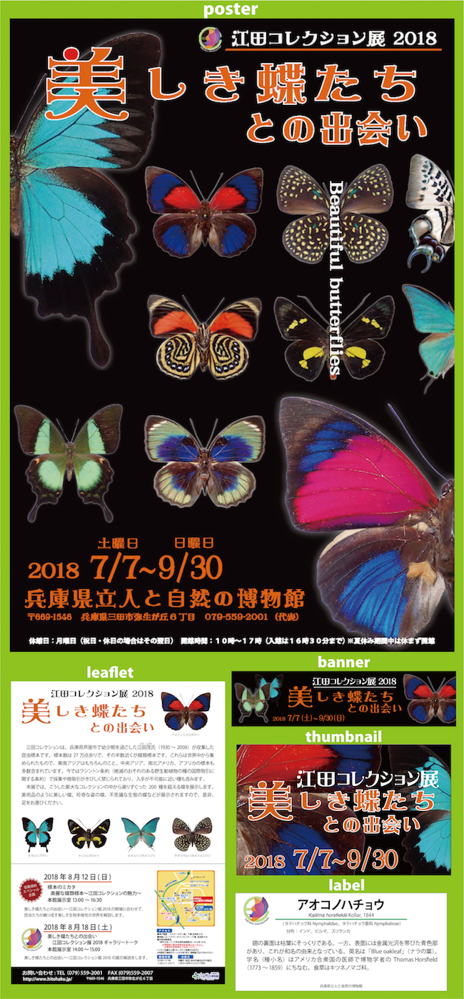 http://www.hitohaku.jp/blog/butterfly2018_1ss.jpg