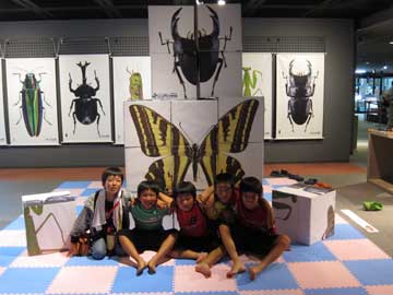 cube_1515.jpg