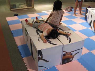 cube_1522.jpg