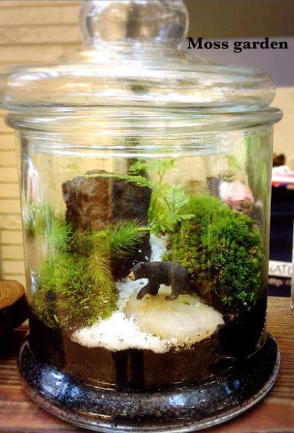 http://www.hitohaku.jp/blog/folder241/terrarium3.JPG