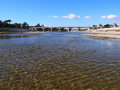 mukogawa1.jpg