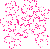 sakura.gif