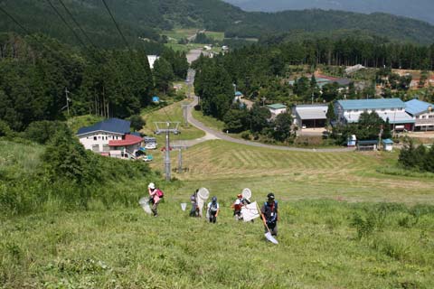 ss2010_1.jpg