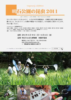 youth2011_disp.jpg