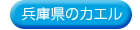 ���Ɍ��̃J�G��