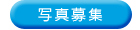�ʐ^��W