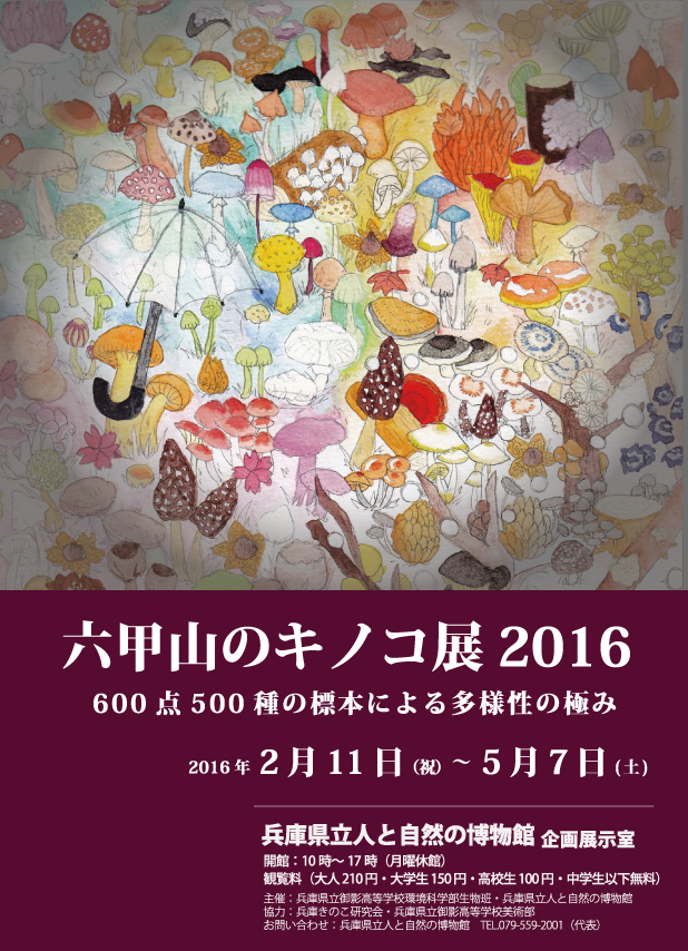http://www.hitohaku.jp/exhibition/planning/rokko_kinoko2016pos.jpg