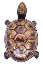 turtle-toy1-150x230.jpg