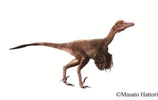 Troodon_1.jpg