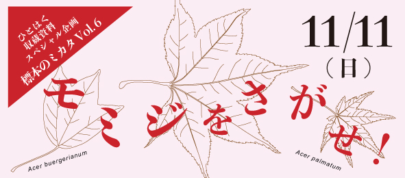 兵庫県立 人と自然の博物館（ひとはく）