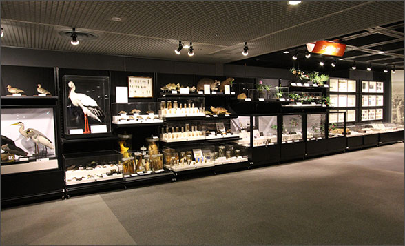 2階魅せる収蔵庫