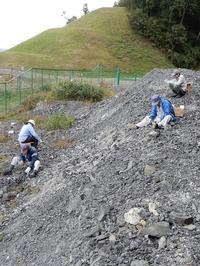 rock-research-volunteer-2009_image1.jpg